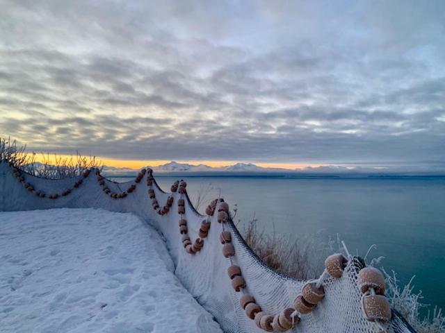 Baycrest Lodge Homer Buitenkant foto